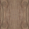 fortebkgd1901