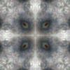 fortebkgd2259