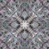 fortebkgd2262