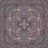 fortebkgd2281