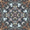 fortebkgd2282