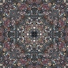 fortebkgd2285