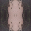 fortebkgd2477