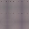 fortebkgd2482 fortebkgd2482