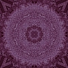 fortebkgd264