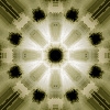 fortebkgd269