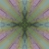 fortebkgd2744