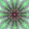 fortebkgd2755