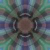 fortebkgd2769