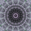fortebkgd2786
