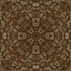 fortebkgd2958