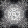 fortebkgd3041