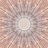 fortebkgd3116