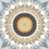 fortebkgd3136
