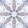 fortebkgd3143