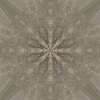 fortebkgd3153