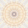 fortebkgd3176 fortebkgd3176