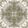 fortebkgd3184