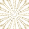 fortebkgd319