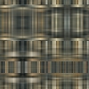 fortebkgd3248