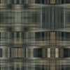fortebkgd3251