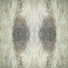fortebkgd3284