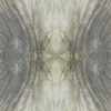fortebkgd3285