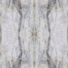 fortebkgd3296