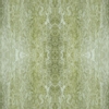 fortebkgd3303