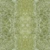 fortebkgd3304