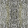 fortebkgd3306