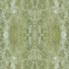 fortebkgd3307
