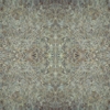 fortebkgd3335