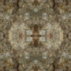 fortebkgd3355