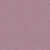 fortebkgd3500