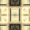 fortebkgd3564 fortebkgd3564