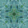 fortebkgd3877