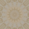 fortebkgd3891