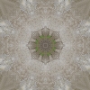 fortebkgd3923