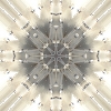 fortebkgd4025