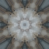 fortebkgd4028