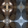 fortebkgd4134