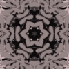 fortebkgd4222