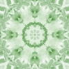 fortebkgd4232