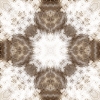 fortebkgd4249