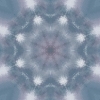 fortebkgd4267