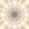 fortebkgd4275