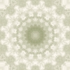 fortebkgd4276