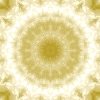 fortebkgd4277