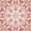 fortebkgd4290